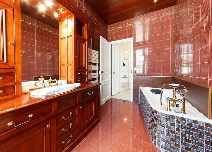 Le Roi Rene - Xixe Siecle - Chateau Lägenhet Angers